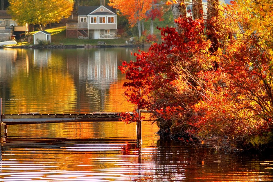 Домик у озера осенью