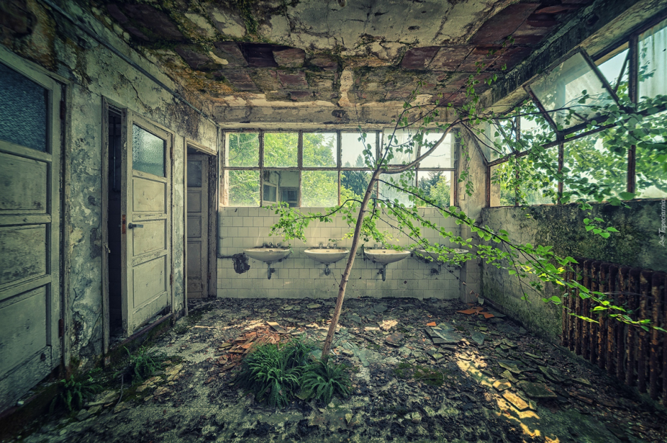 Заброшенный дом изнутри (80 фото)