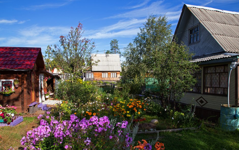 Деревенский домик с садом