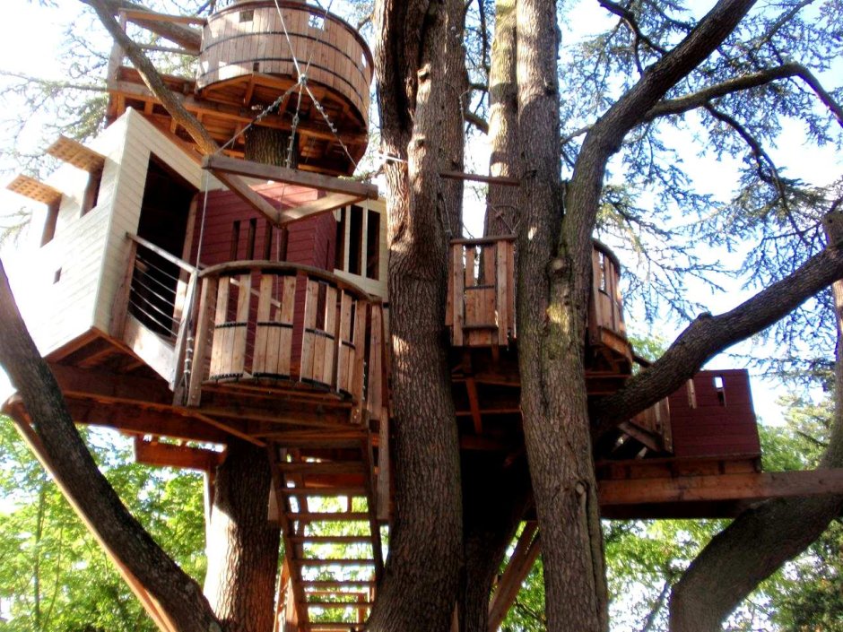 Интересные домики на дереве