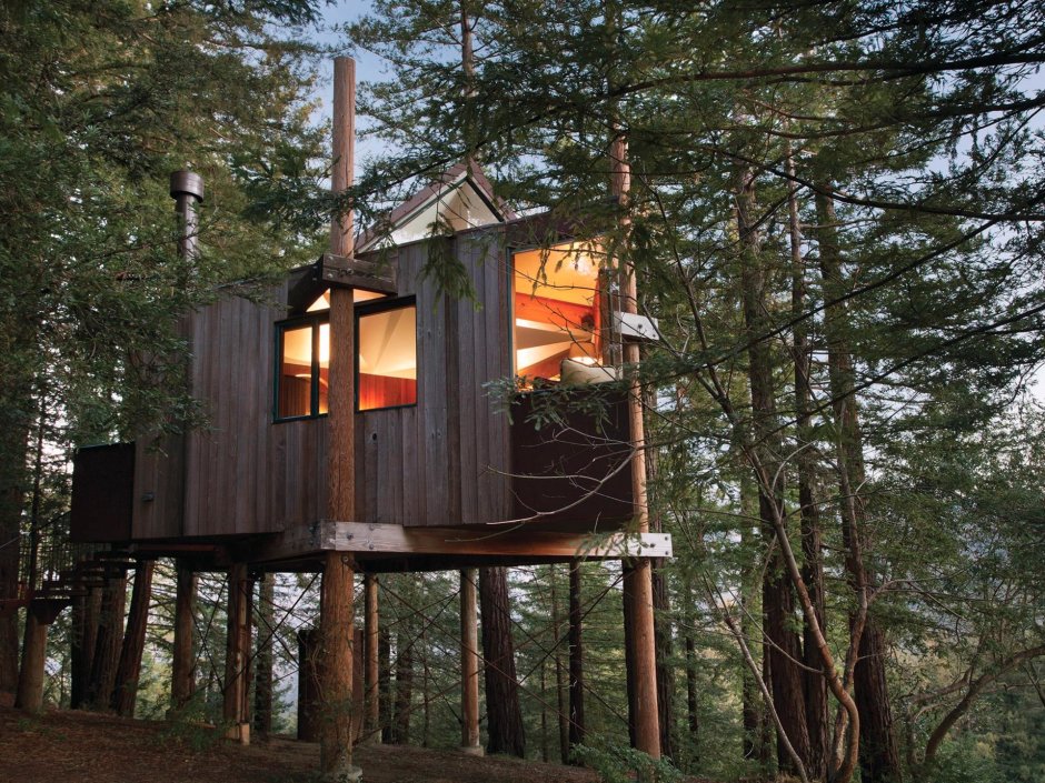 Отель Treehouse домики на деревьях