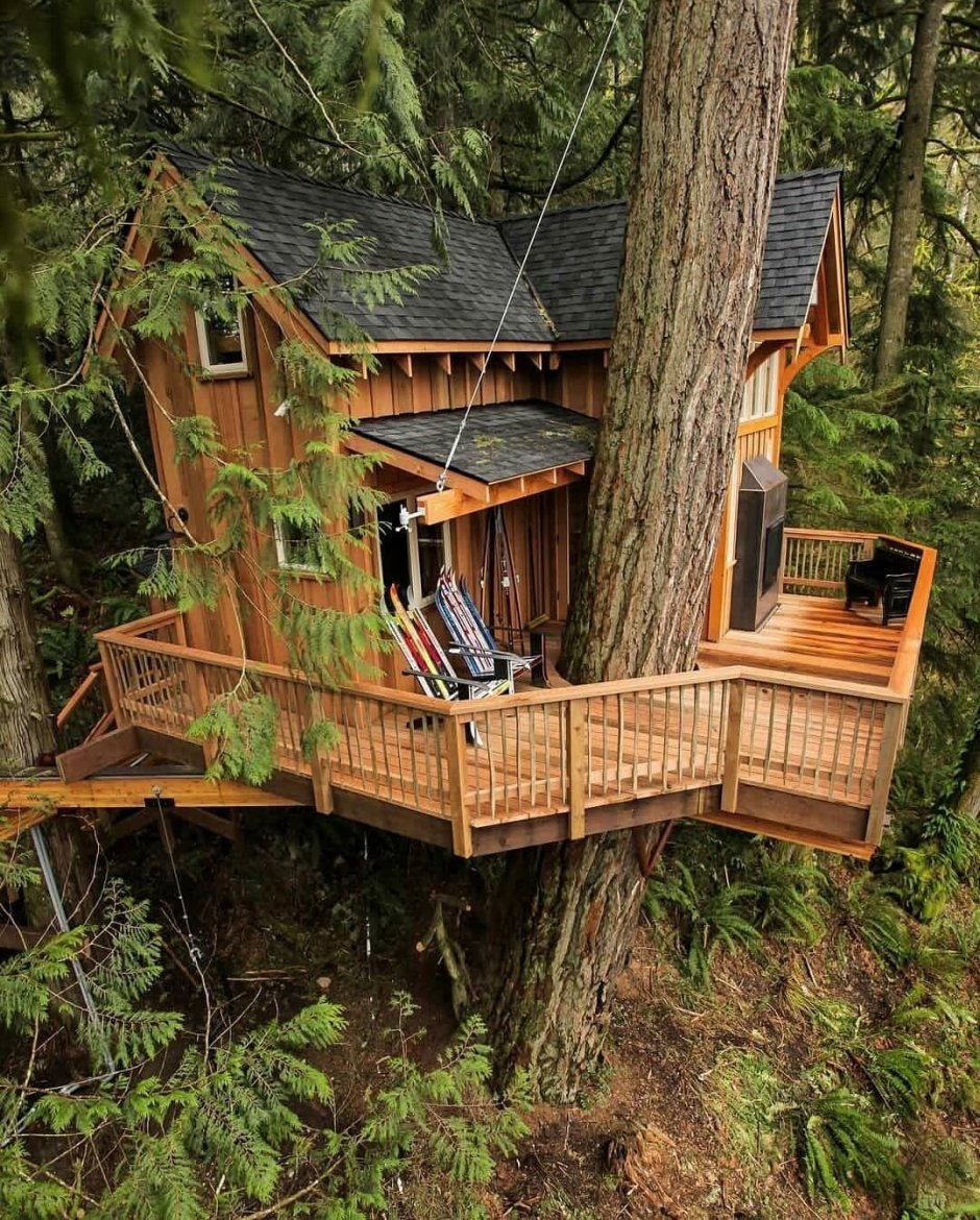 Hobbit Treehouse, США