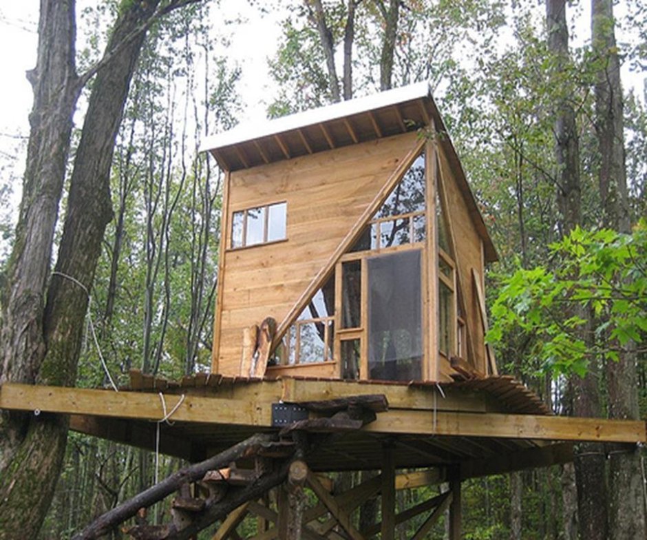Построить дом в лесу законно ли