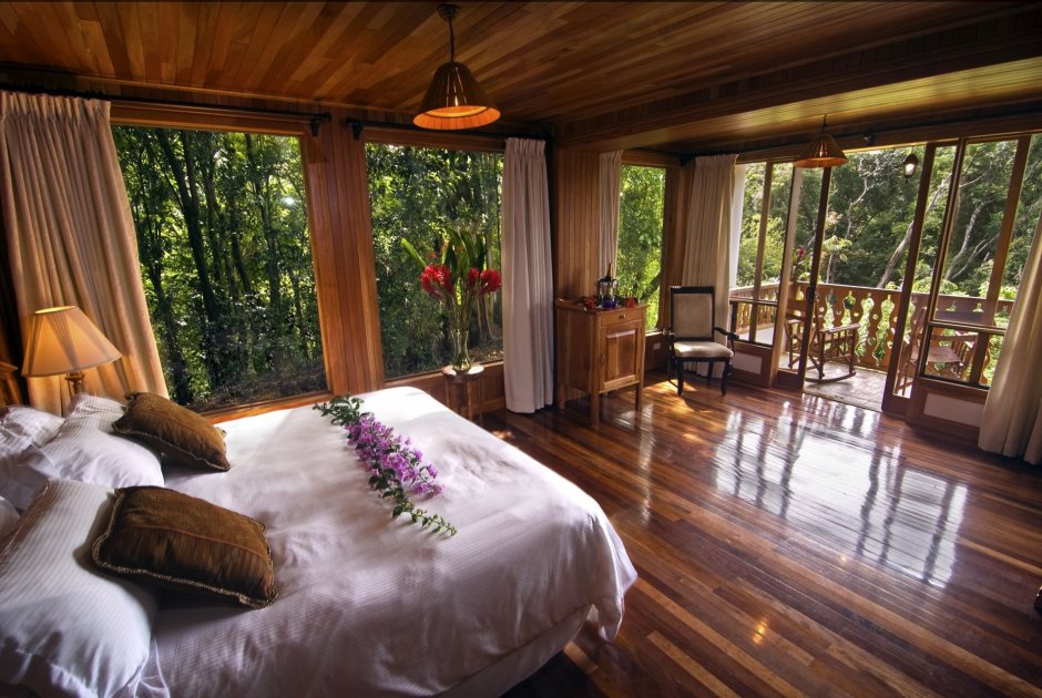 Уютная комната с видом на лес
