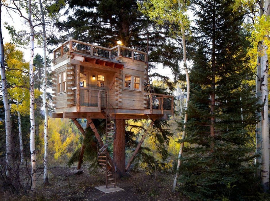 Деревянный домик на дереве