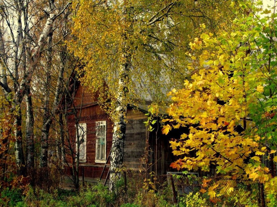 Деревенский домик осень