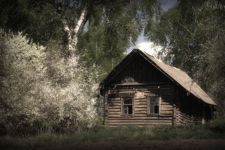 Беларусь деревня Березки