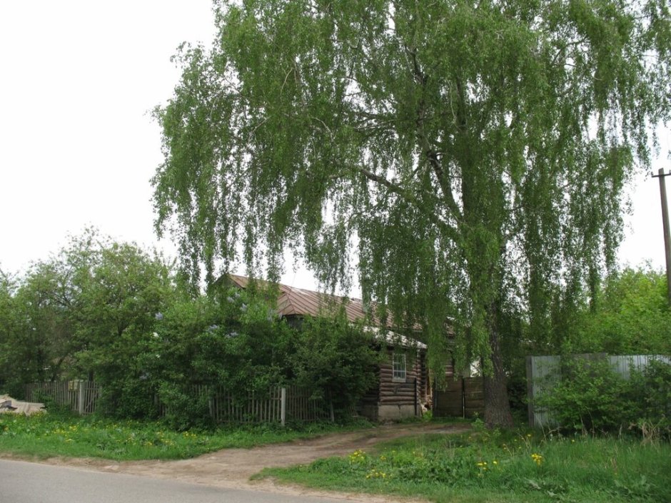 Деревенский дом
