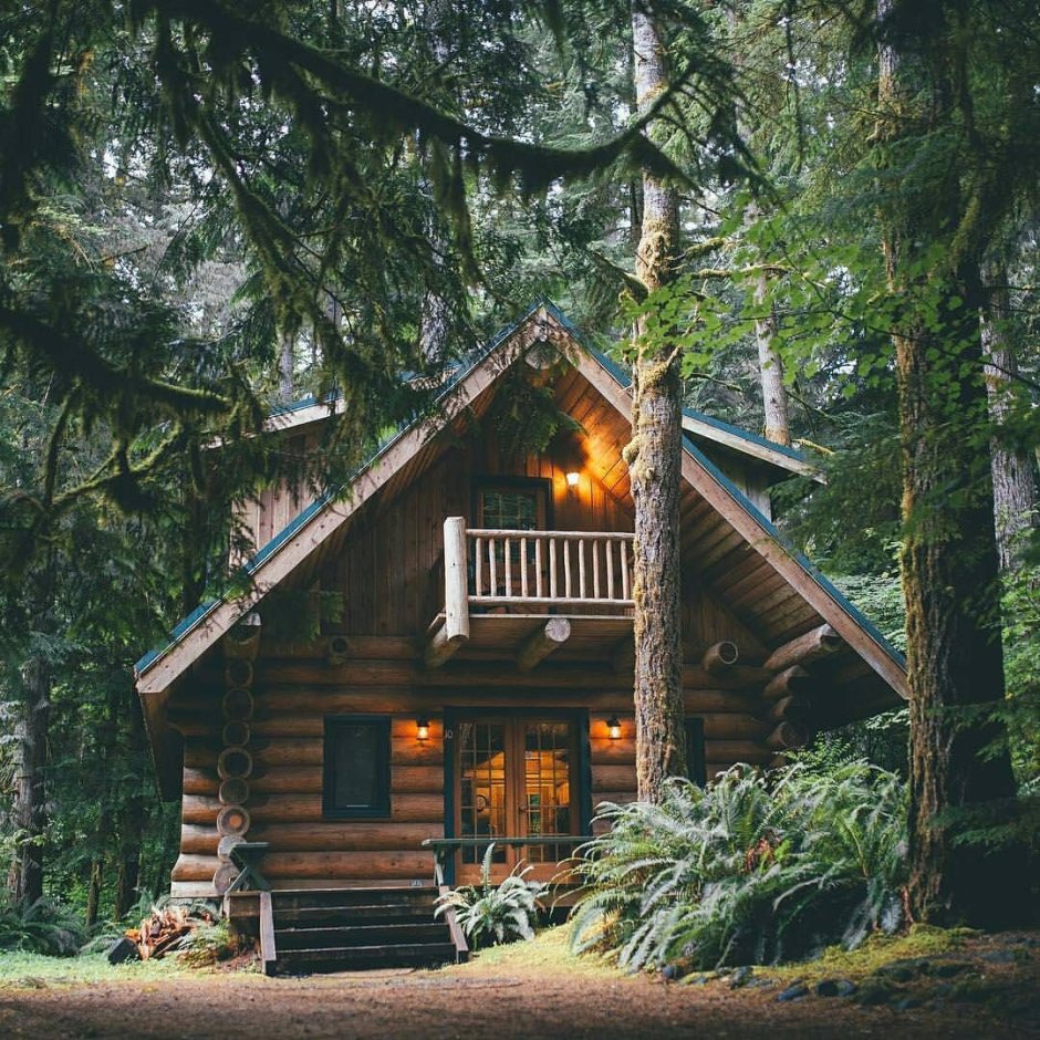 Деревянный домик в лесу арт