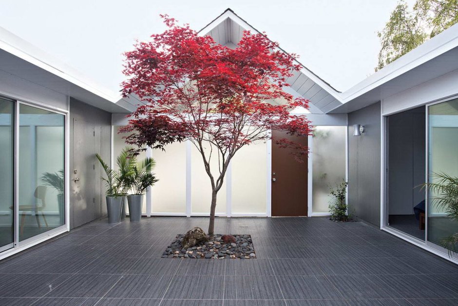 Внутренний двор в японском стиле