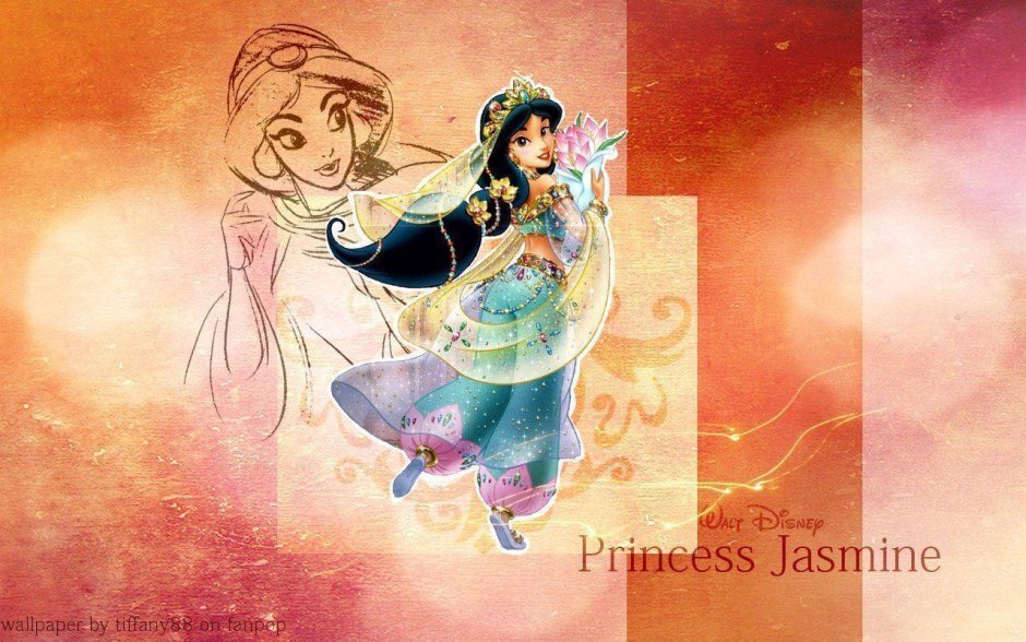Жасмин принцесса Аграбы