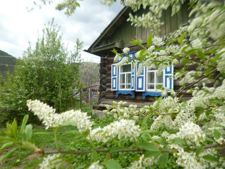 Деревенский сад