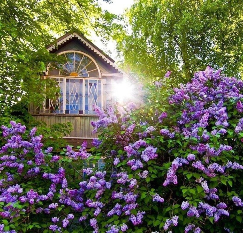 Вышивка летний домик