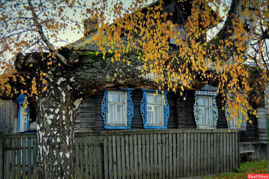 Дом в деревне осенью