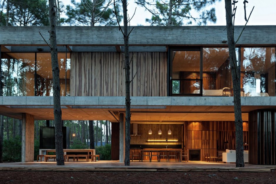 Современный деревянный дом в лесу
