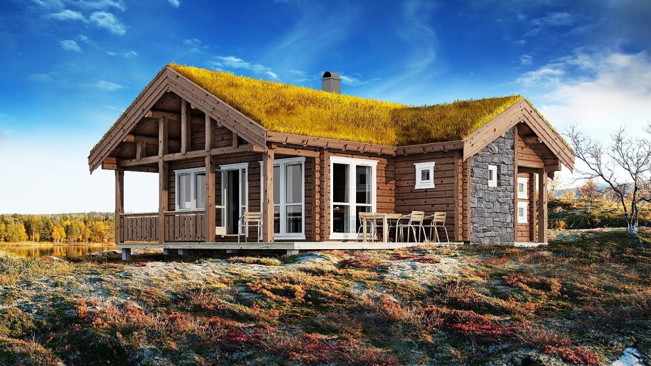 Норвежский одноэтажный дом