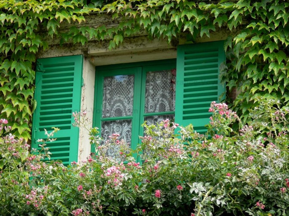 Дом с зелеными ставнями