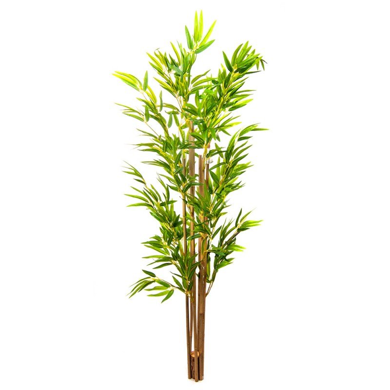 Бамбук для декора