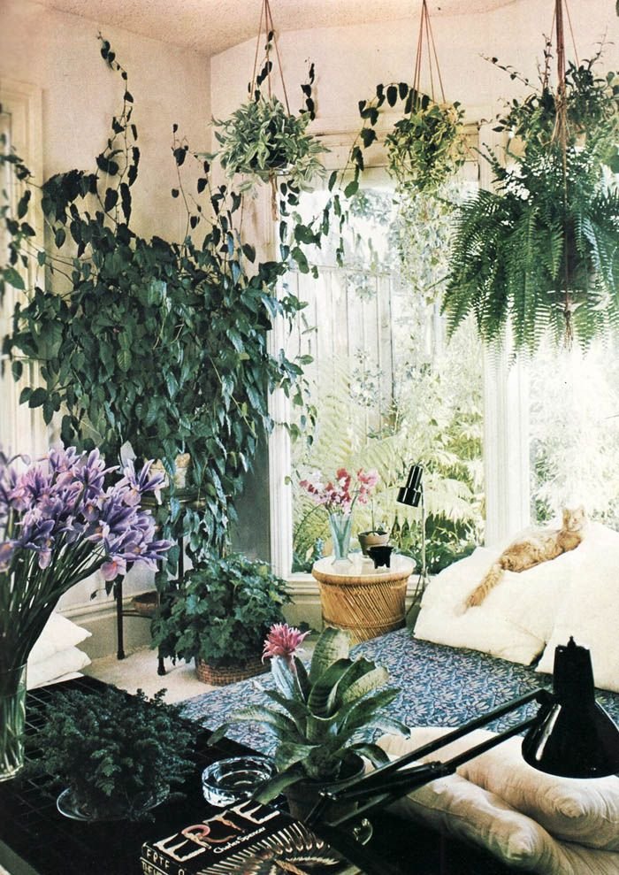 Комната с растениями Эстетика