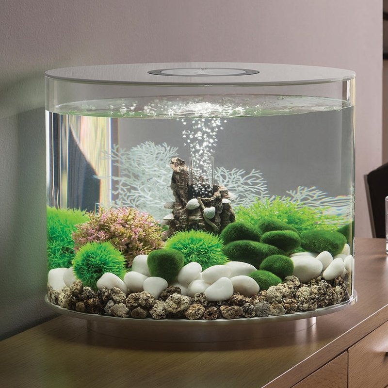 Интерьер аквариум между кухней и гостиной