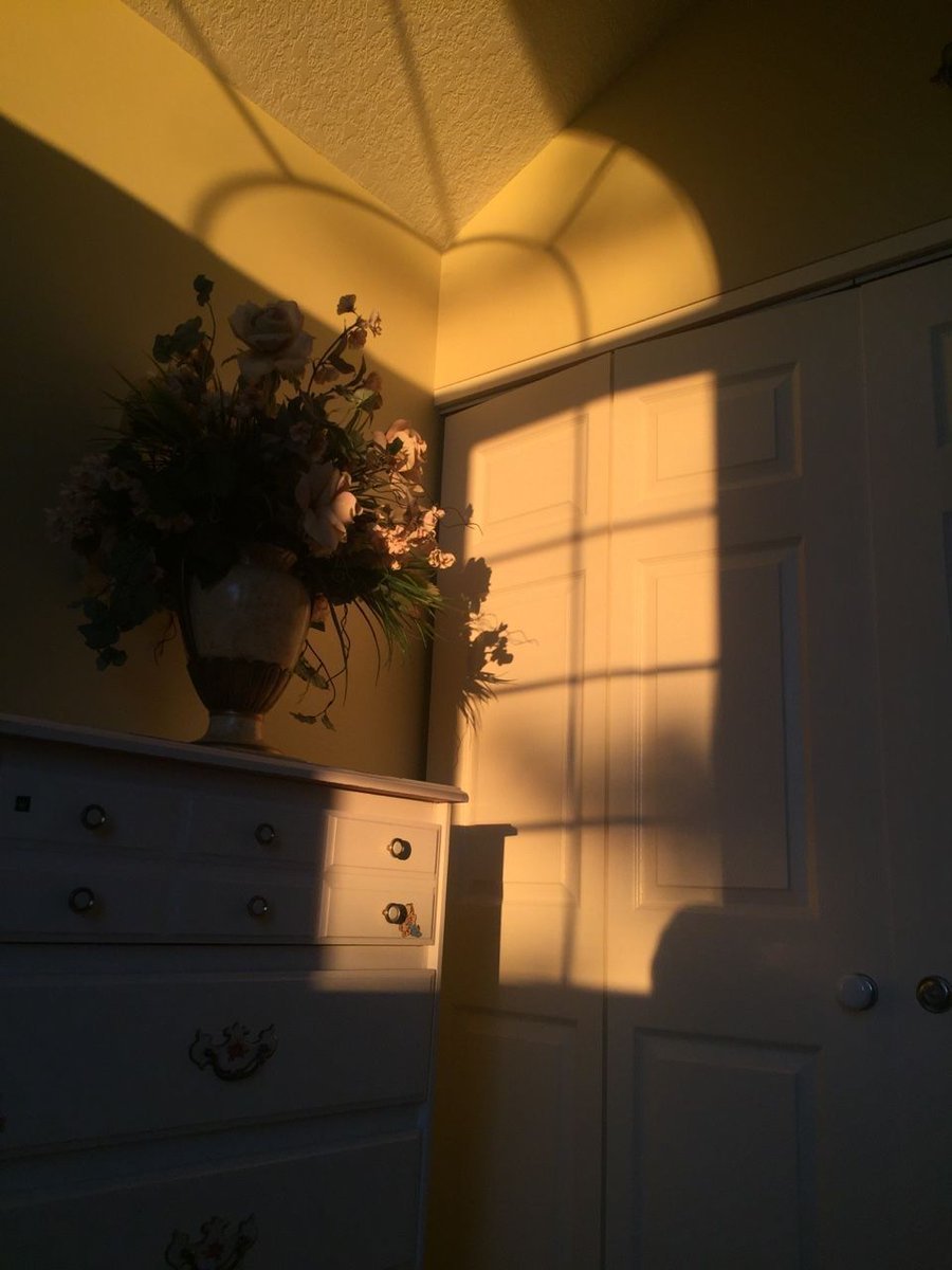 Эстетика солнца в комнате