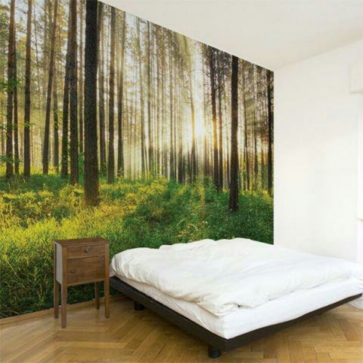 Фотообои на стену в спальню лес