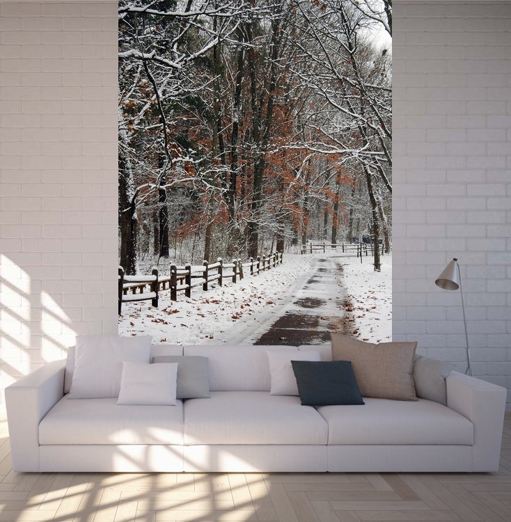 Комната с зимним пейзажем