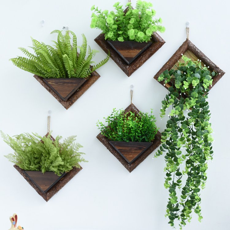 Интерьерные растения, купить комнатные растения в горшках / Geo Glass