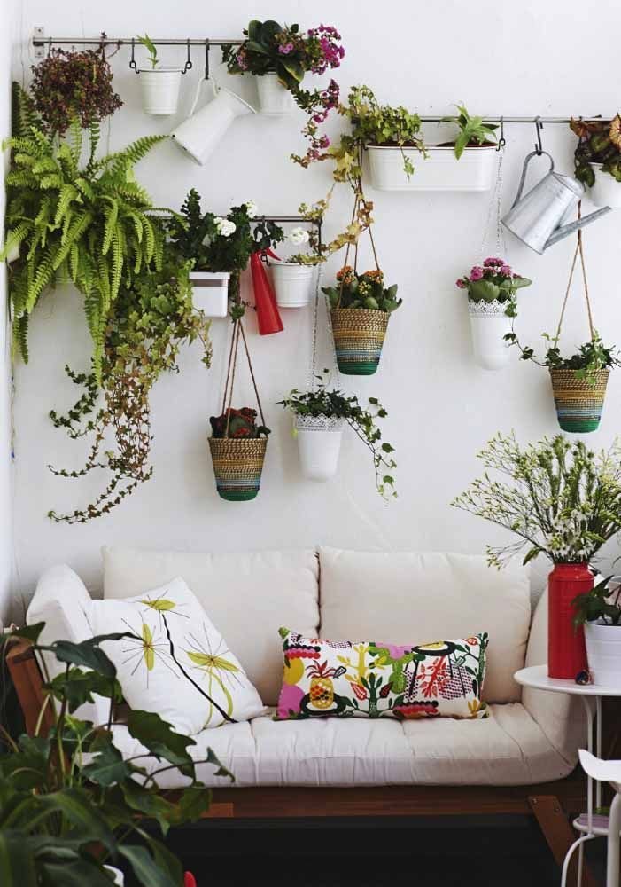 Растения в кашпо на стене