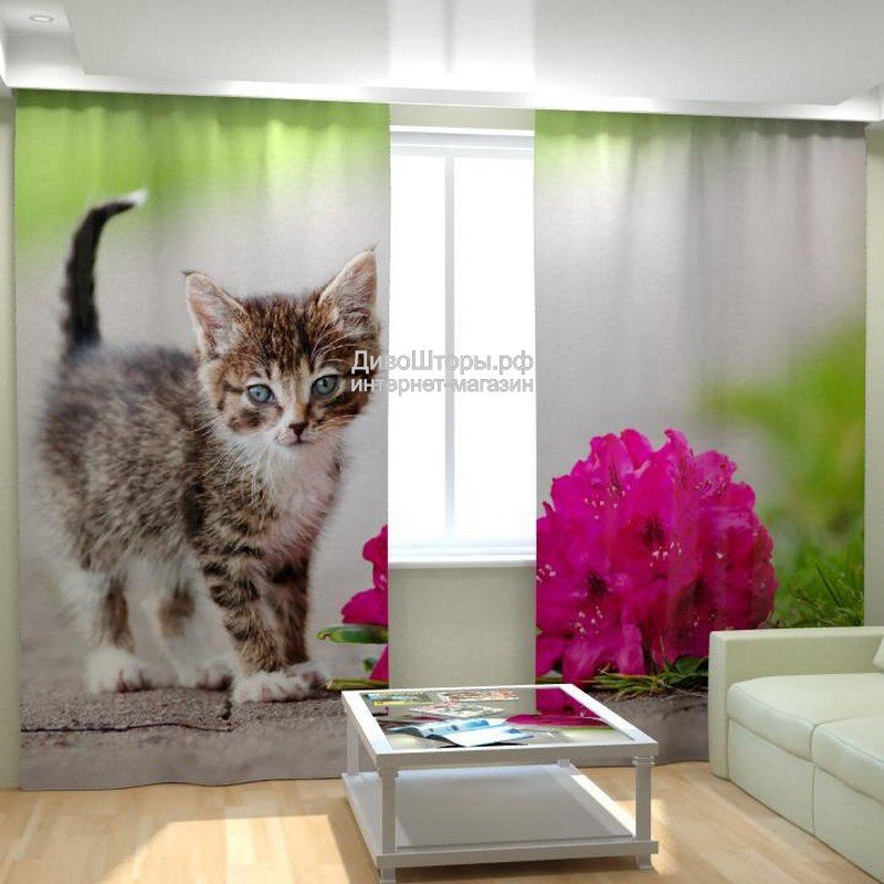 Фотообои с кошками на стену (71 фото)