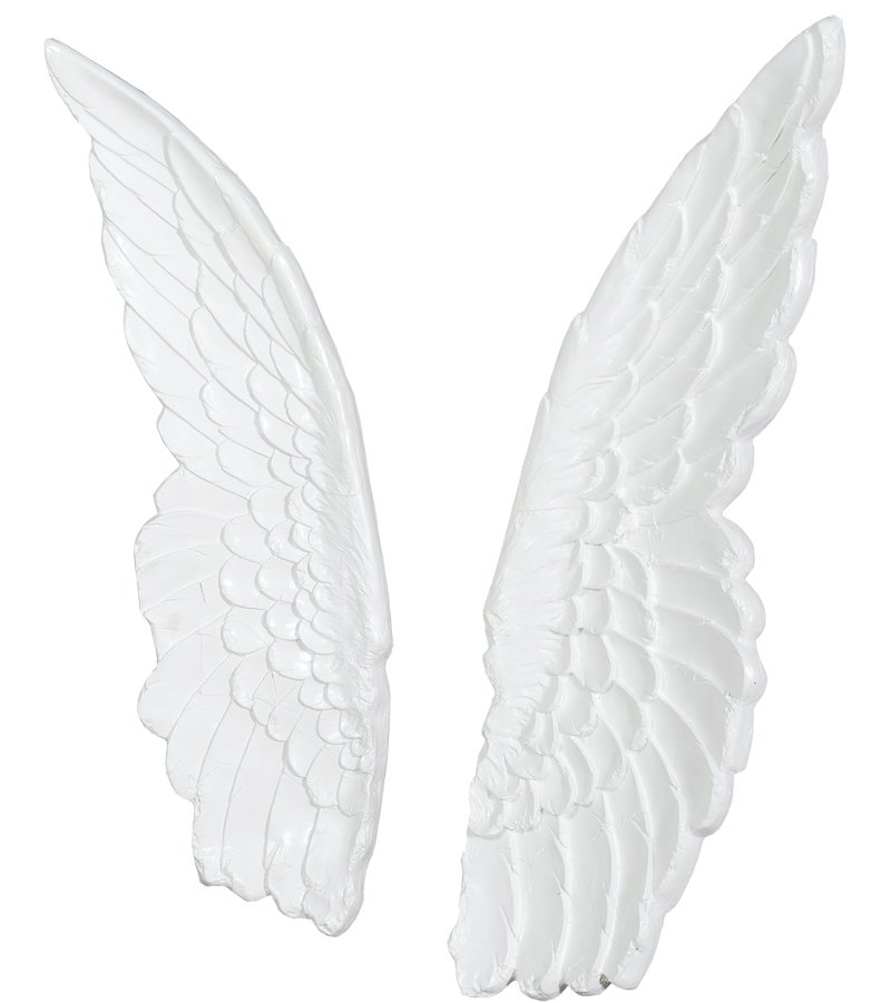 Белые Крылья ангела (71х45 см)