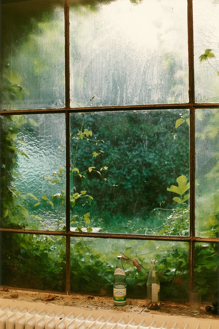 Сад за окном