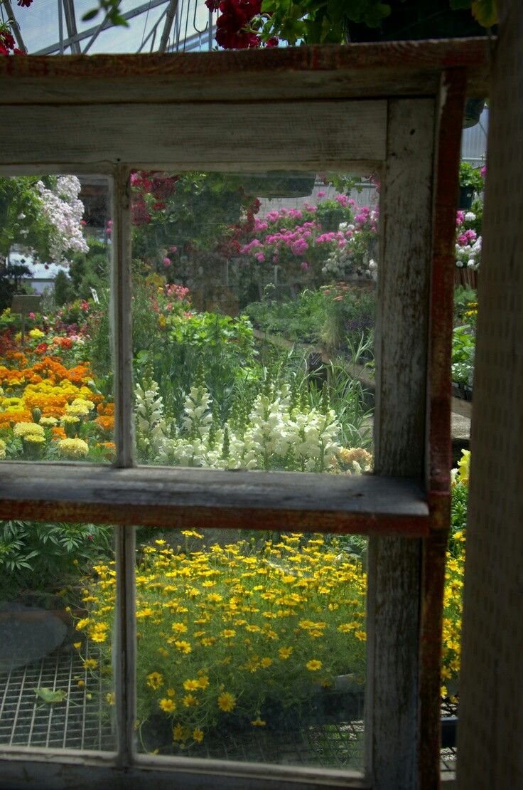 Окно с видом на сад