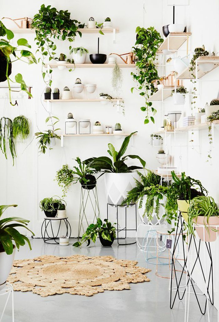 Декорирование комнатных растений