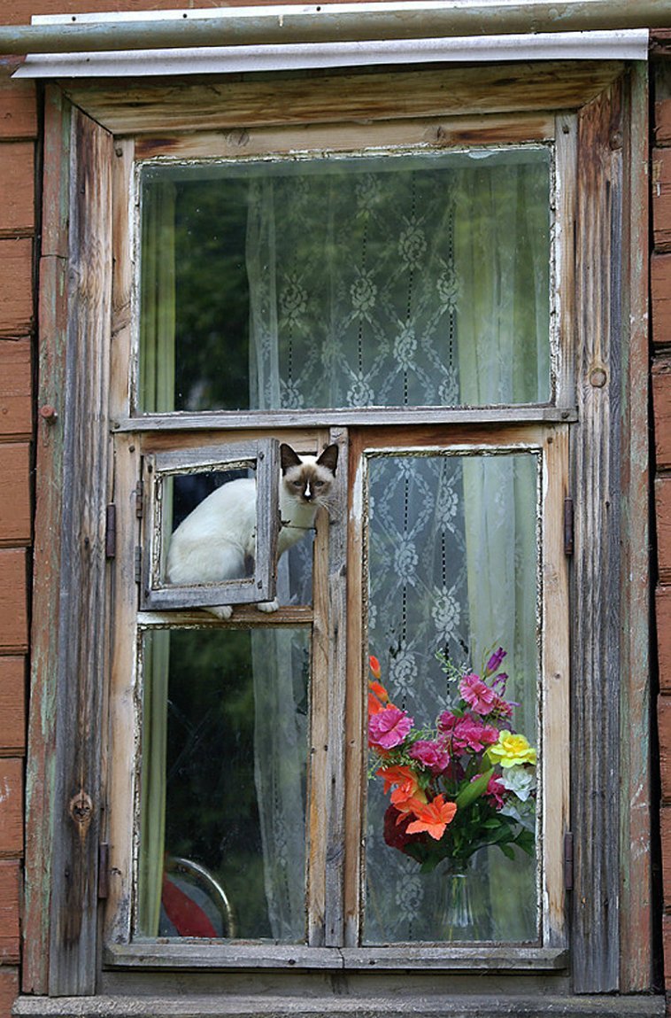 Открытое окно в деревенском доме