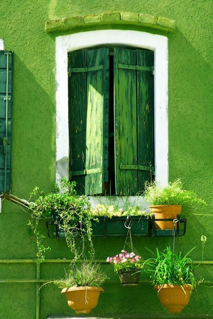 Зеленые окна (44 фото)