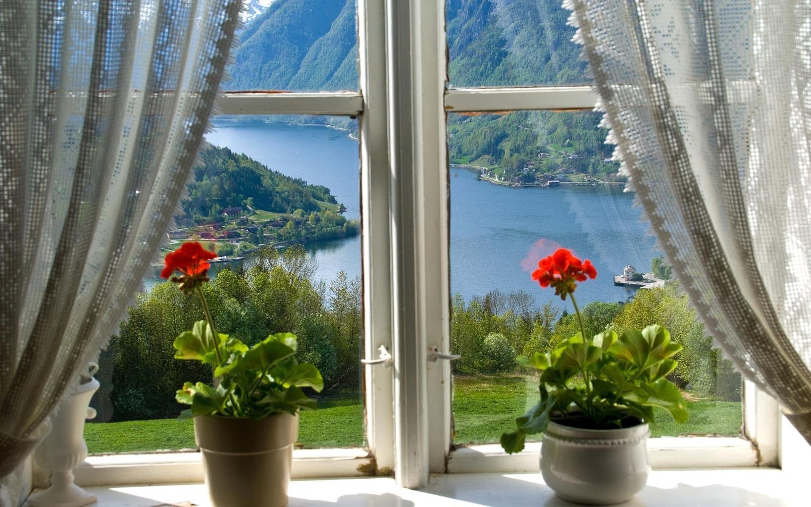 Обои на окно рабочее. Цветы на подоконнике. Красивый вид из окна. Красивые окна. Окно с видом на природу.