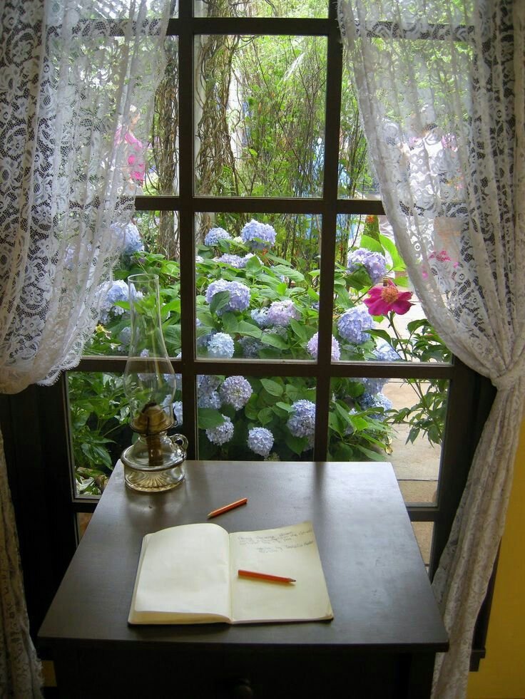 Вид из окна на сад