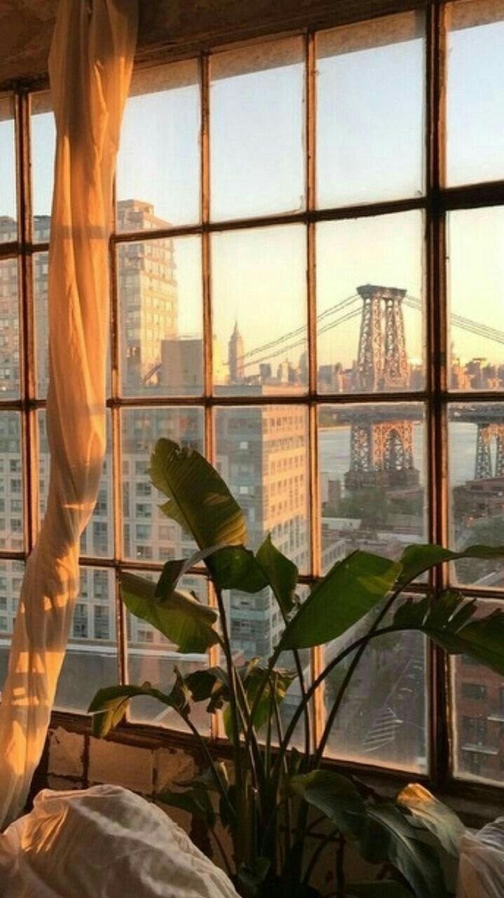 Красивый закат из окна квартиры