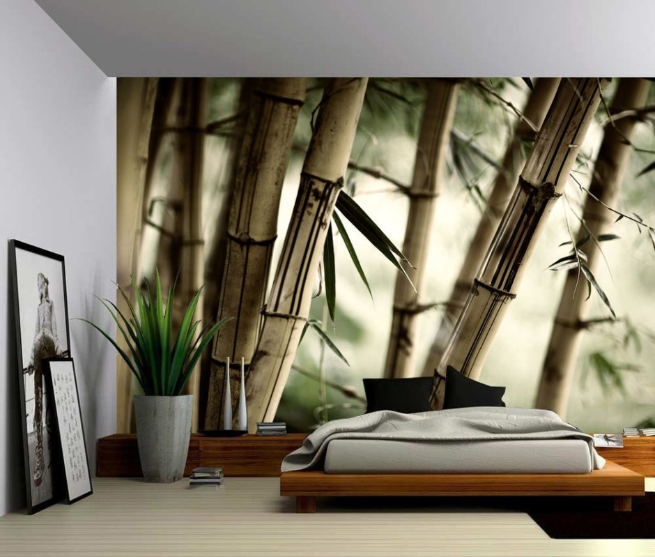 Бамбук стена зелень