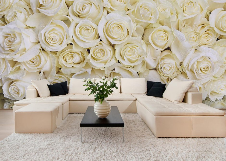 Фотообои белые розы в интерьере (59 фото)