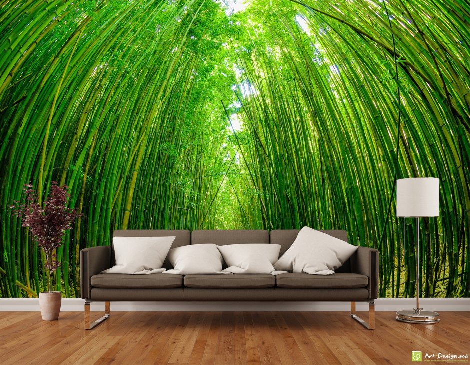 Фотообои бамбук в интерьере