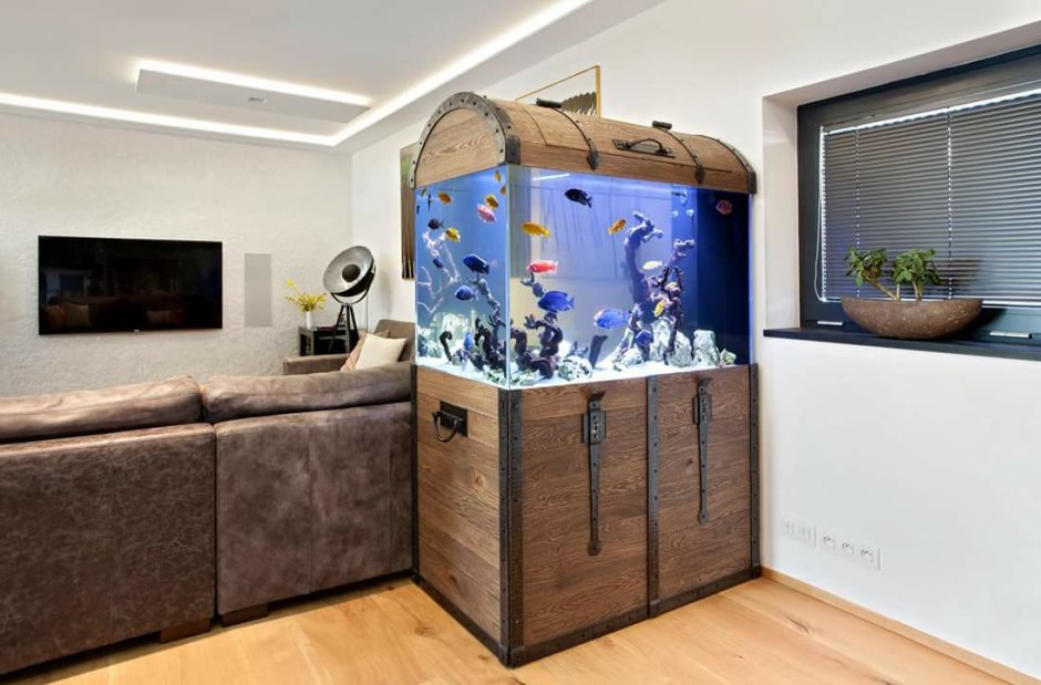 Кухня гостиная с аквариумом