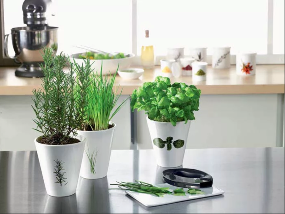Декоративные растения на кухне