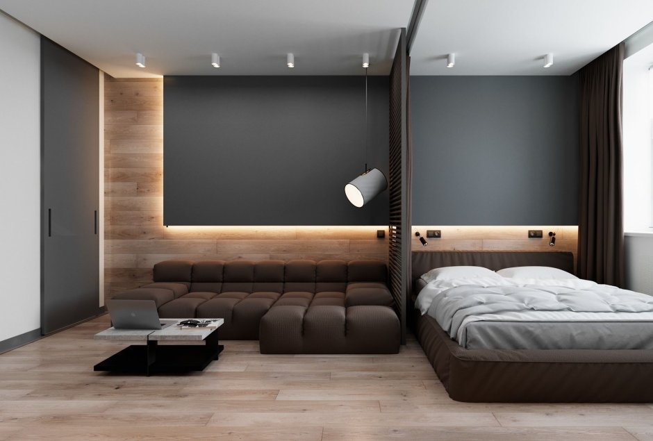 Спальня гостиная в современном стиле