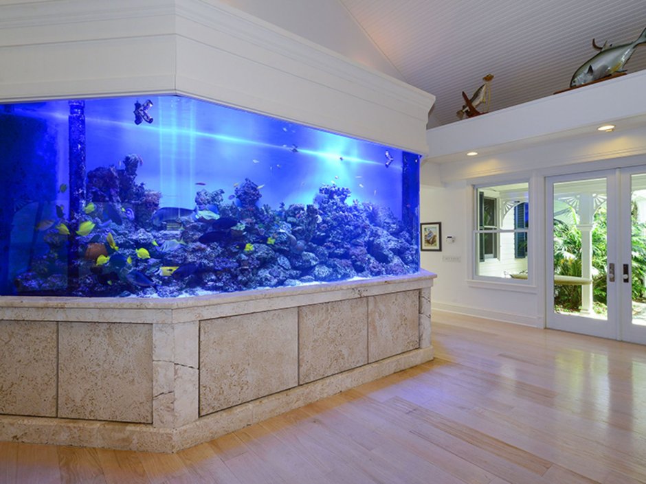 Огромный аквариум в доме