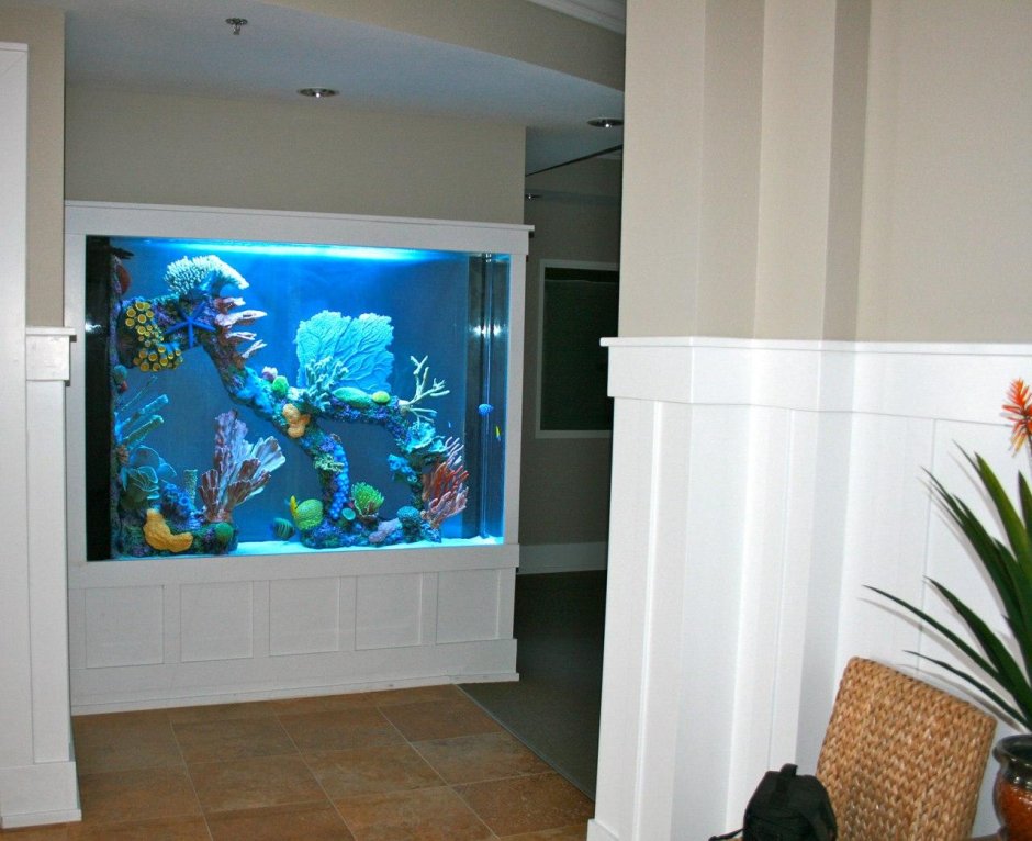 Встроенные аквариумы в стену