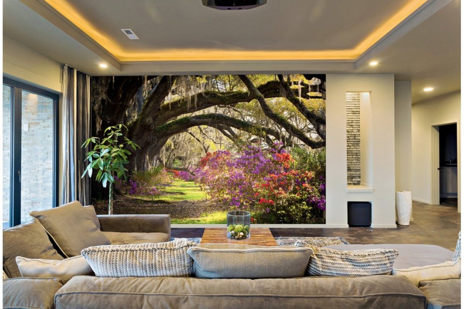 Divino Decor фотообои