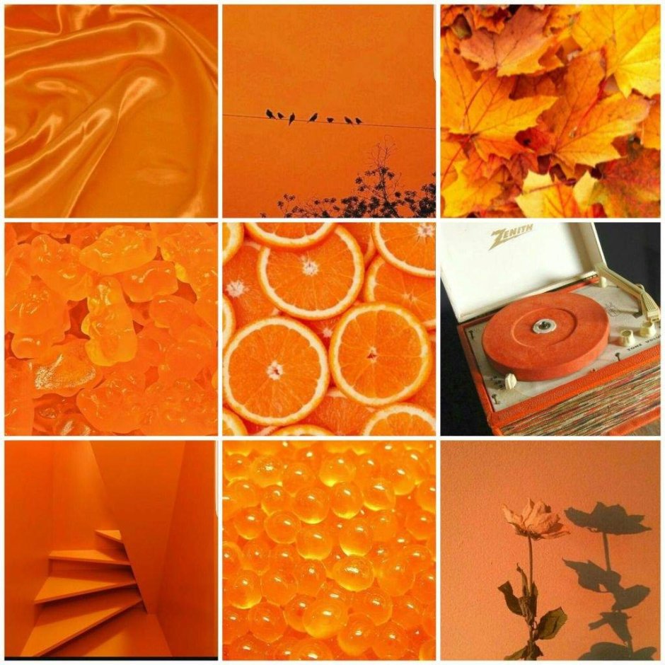 Эстетика оранжевого цвета