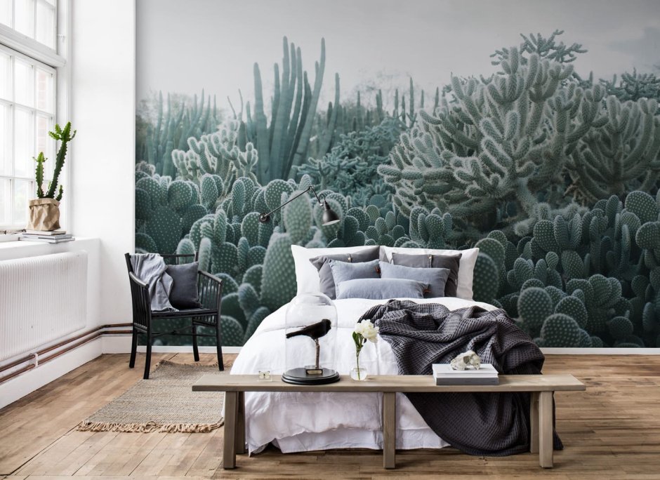Фотообои в спальню с кактусами